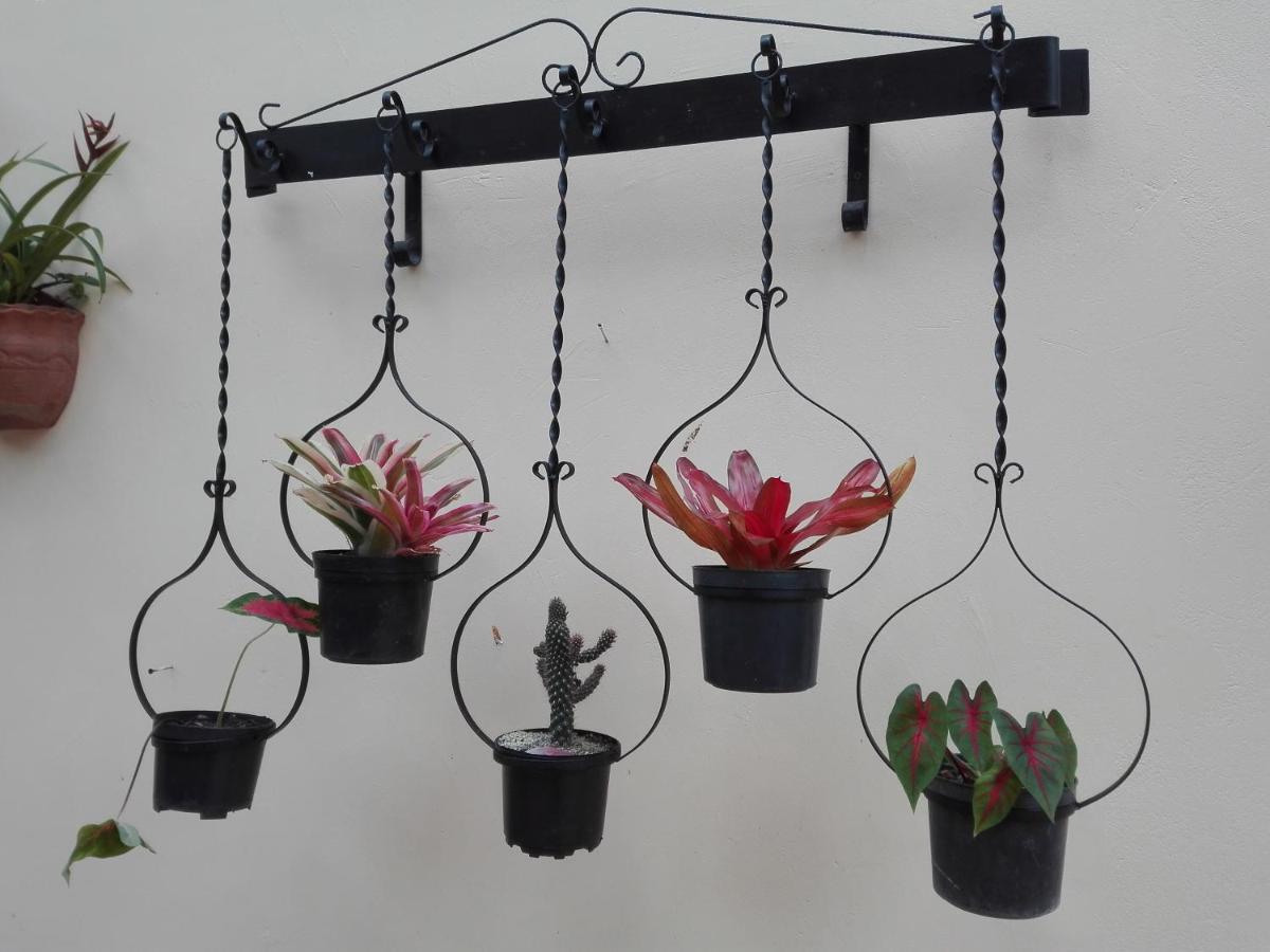Mi Jardin Encantado别墅 外观 照片