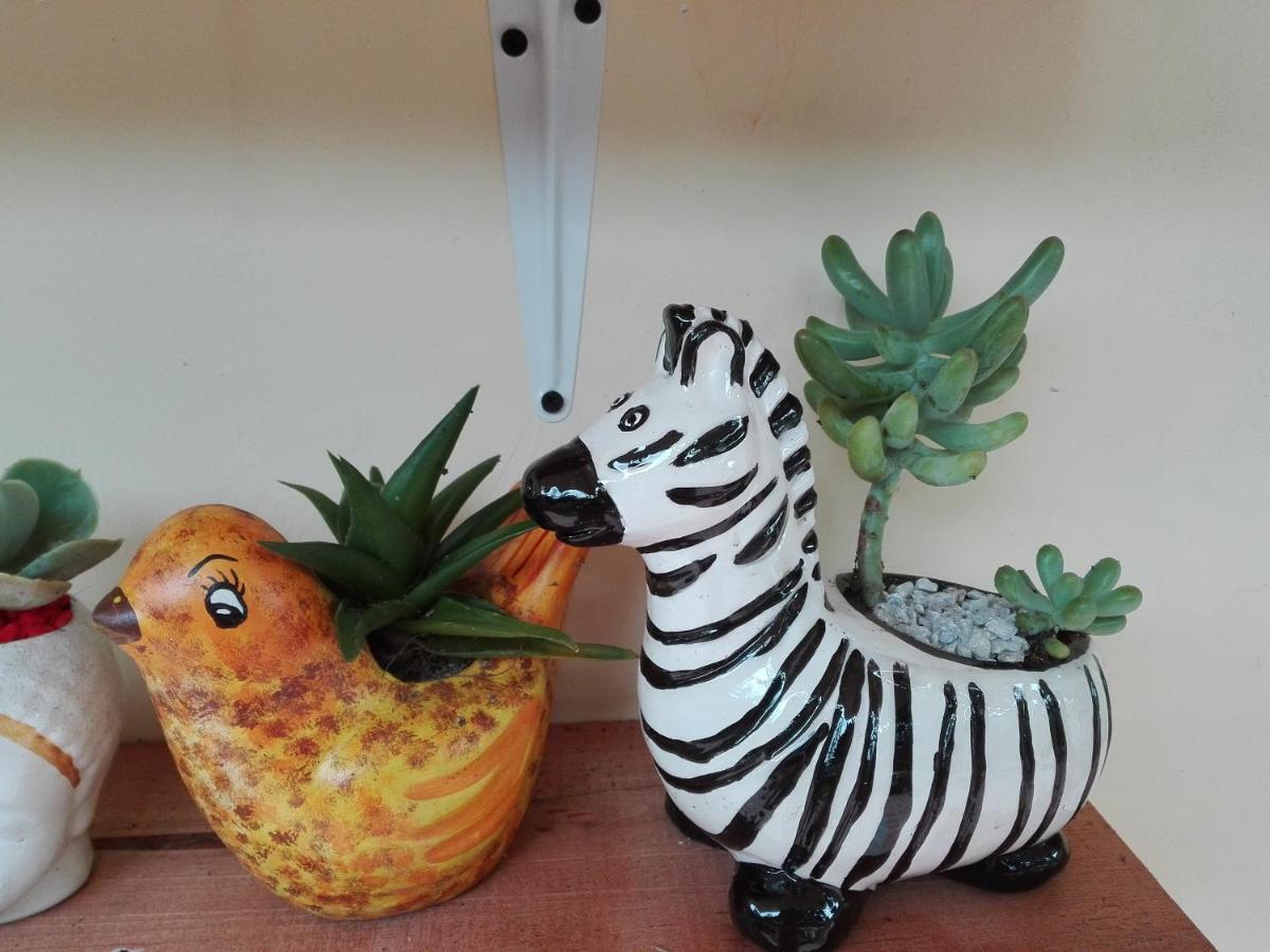 Mi Jardin Encantado别墅 外观 照片