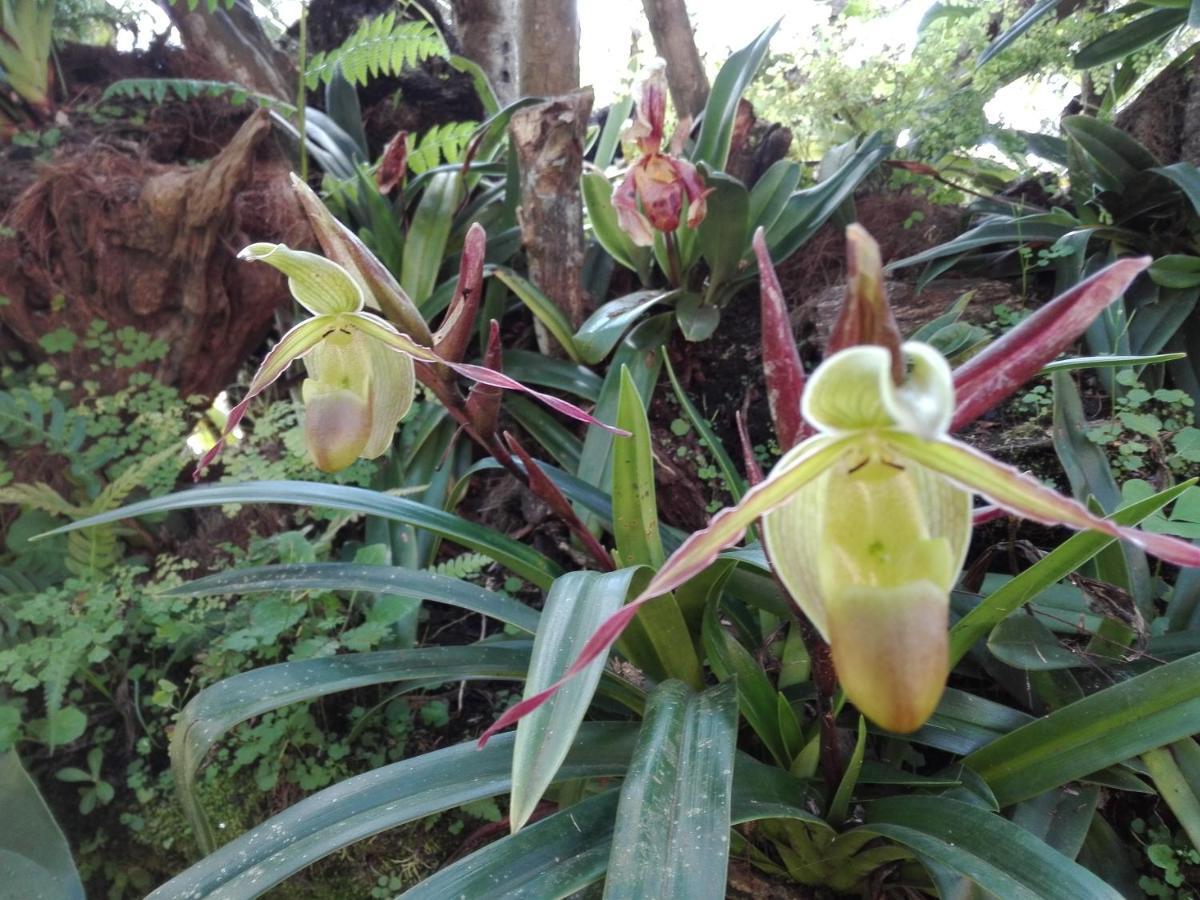 Mi Jardin Encantado别墅 外观 照片