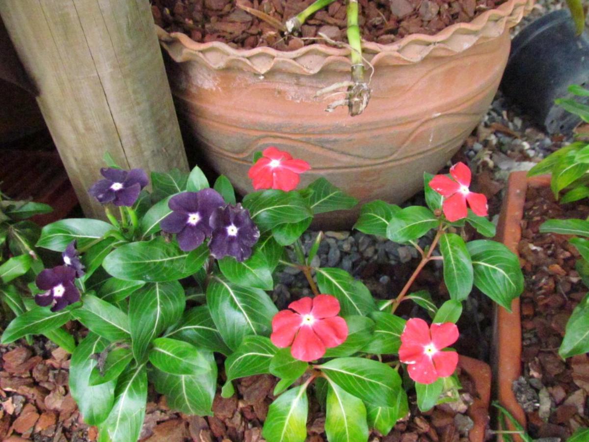 Mi Jardin Encantado别墅 外观 照片
