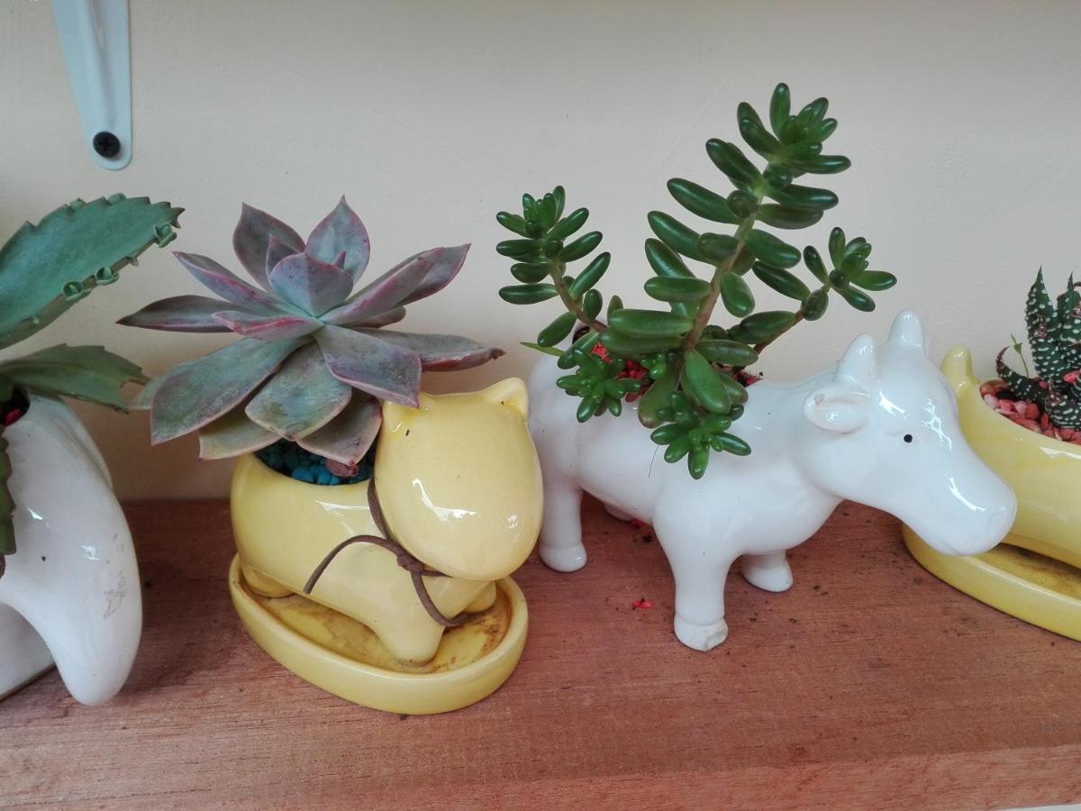Mi Jardin Encantado别墅 外观 照片